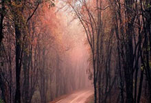 乌克兰队在惨烈对决中脱颖而出，晋级欧洲杯预选赛