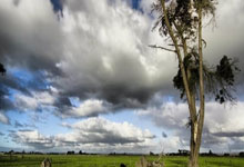 美因茨队员状态回暖获得胜利